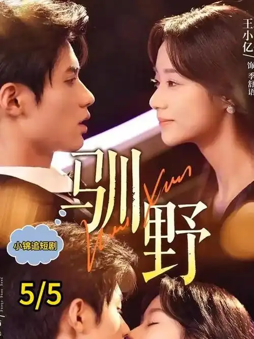 雾港悬疑电视剧全集免费在线观看